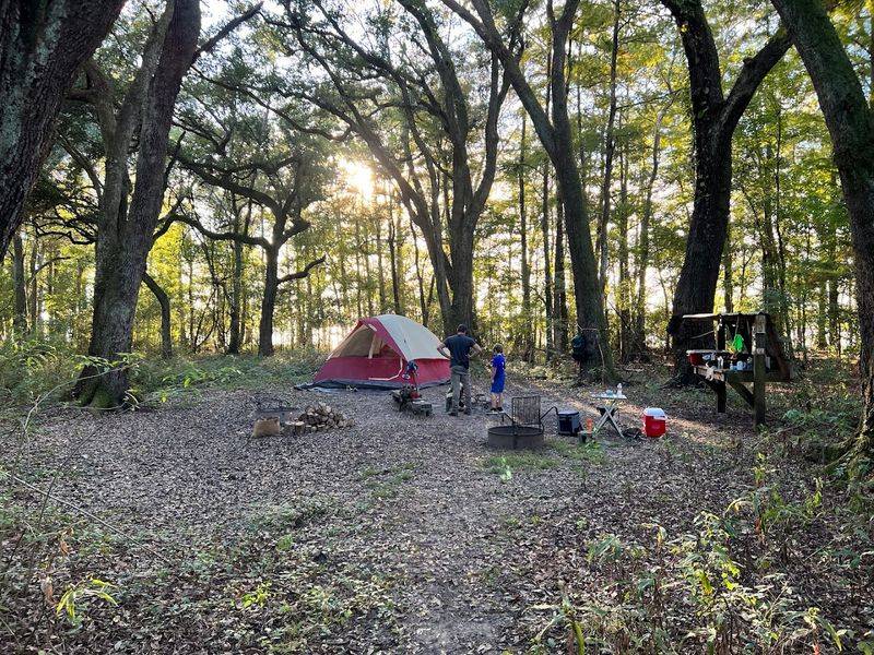 Pack For Bugs And Sun