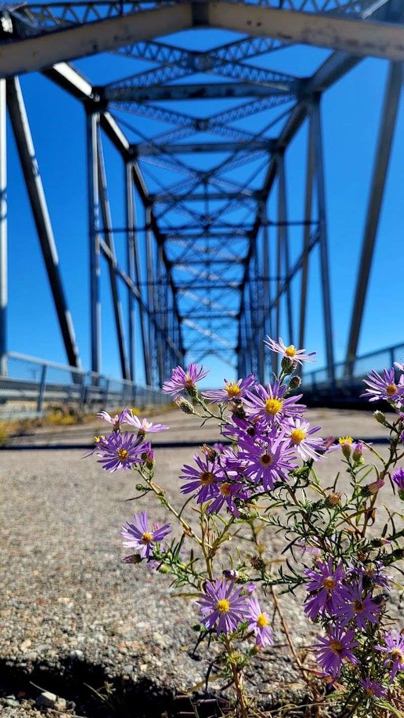 A Quiet Walk Above The Riverbed