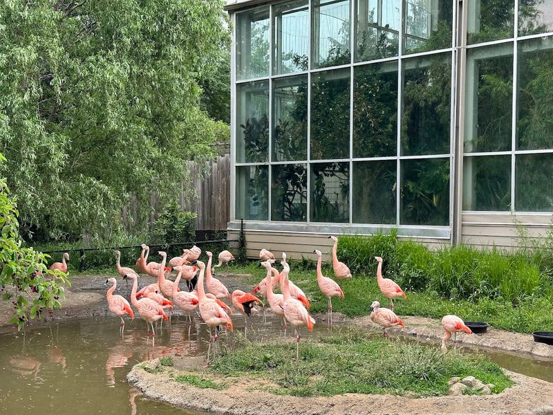 The Animal Lineup That Makes the Visit Worth Planning