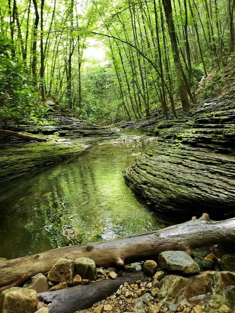 The Trail That Gets You There