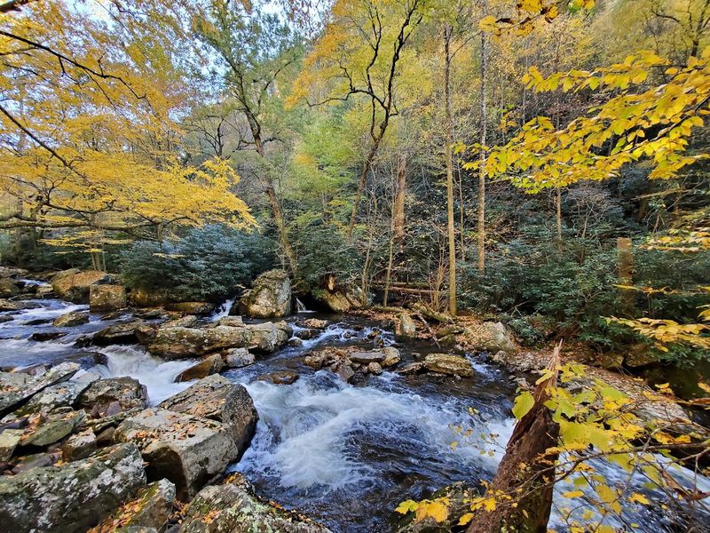 The Upper Trail Offers A Different Kind Of Beautiful