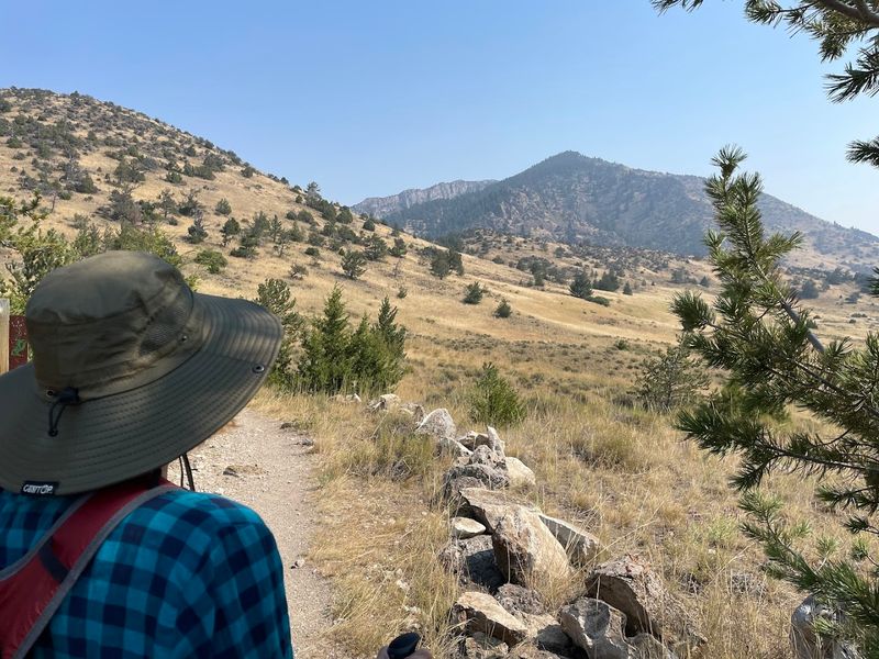 Trails, Camping, And Life Above Ground