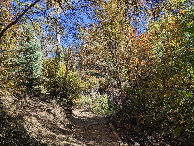The Hike Itself: What to Expect on the Way Up