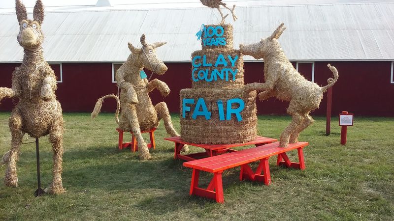 Livestock, Agriculture, and the Fair's Competitive Core