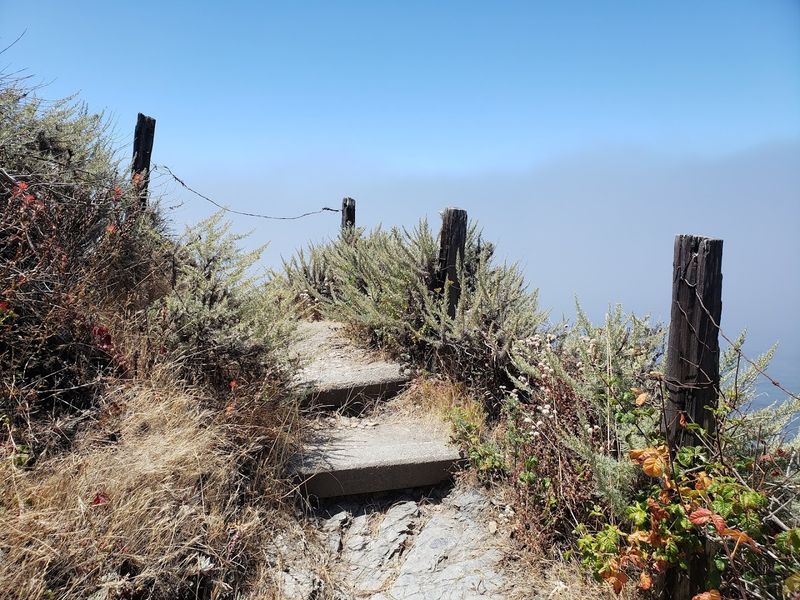 The Hike Down