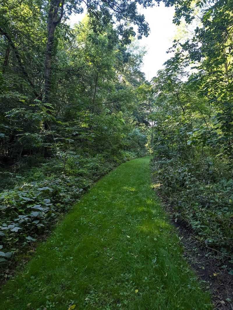 The Trail System And How It Flows
