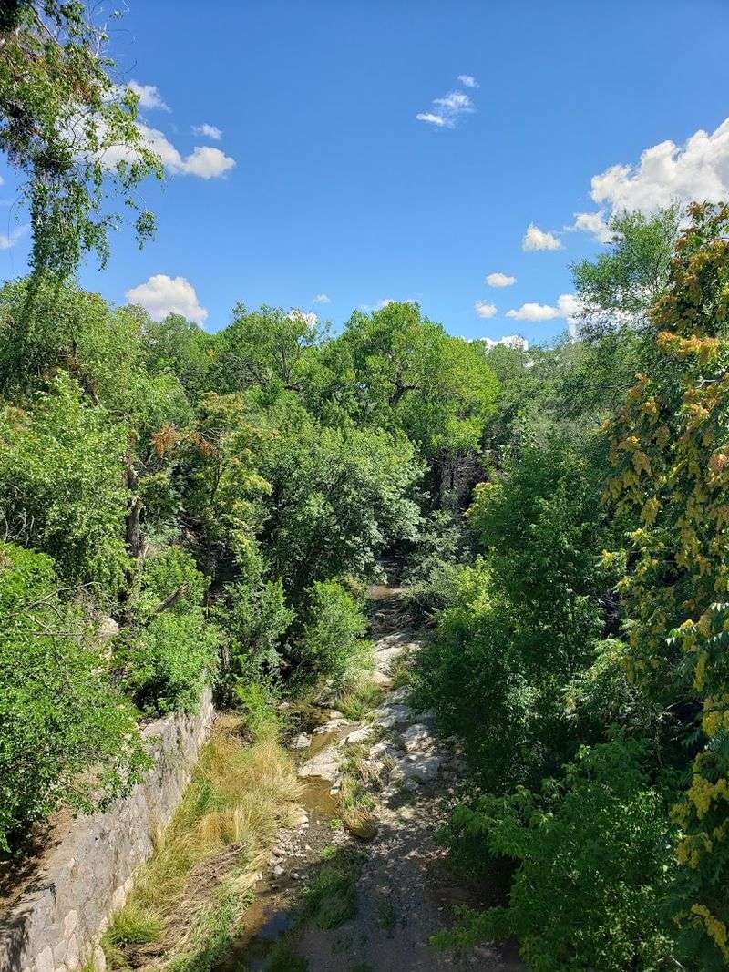 A Quiet Canyon Through Downtown