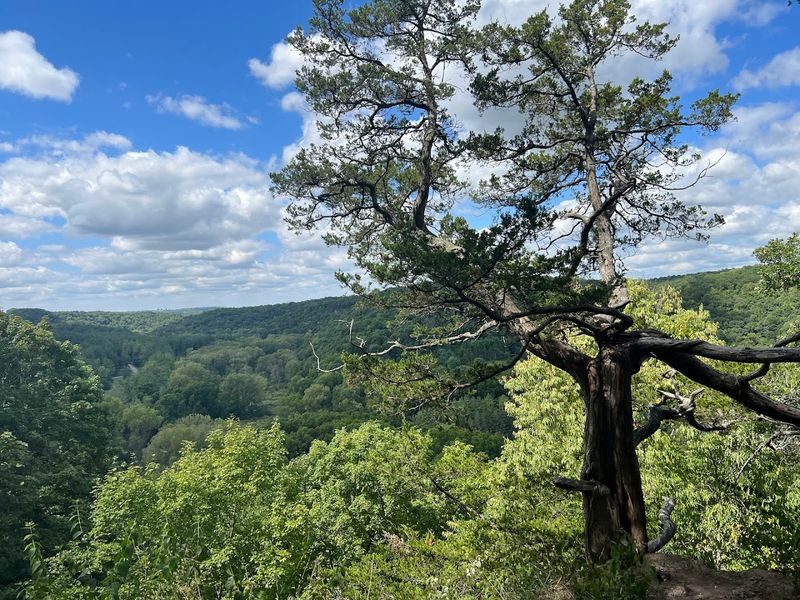 The Driftless Area and Why It Changes Everything