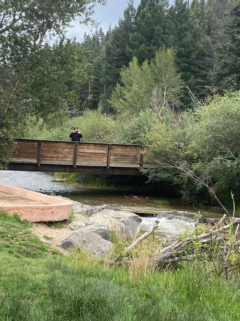 A Slow Walk With Dreamy Views