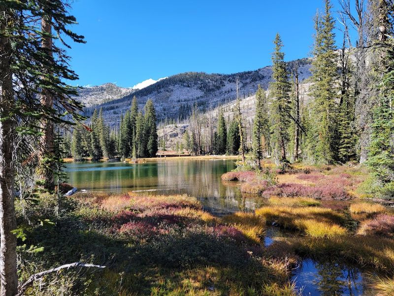 Frank Church Wilderness Wonder