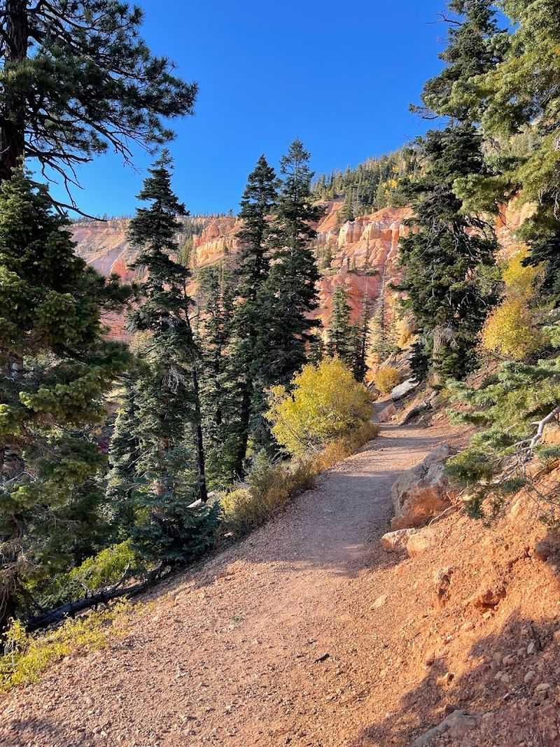 How The Trail Fits Every Kind Of Visitor