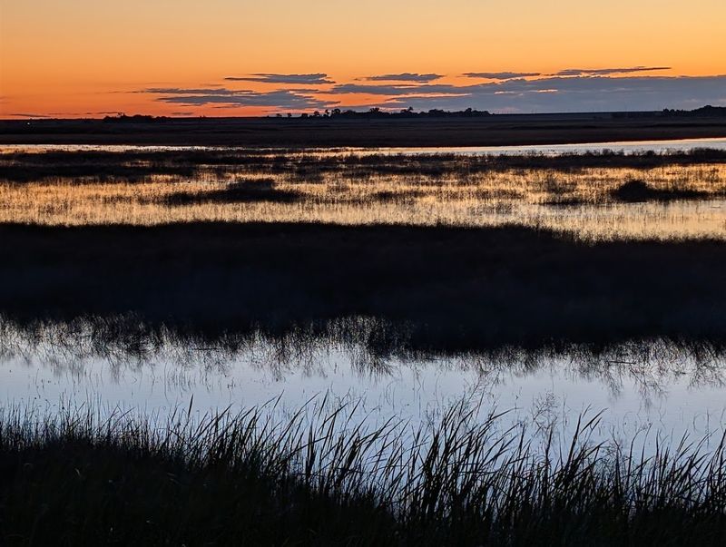 The Nickname That Says It All: Oasis On The Plains