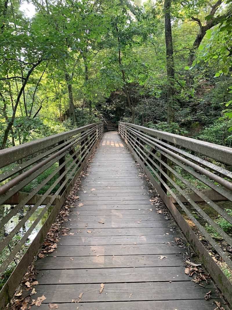 A Trail Built For Families With Kids