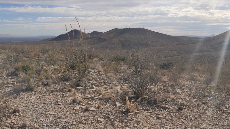Quiet Paths Through A Desert Time Capsule