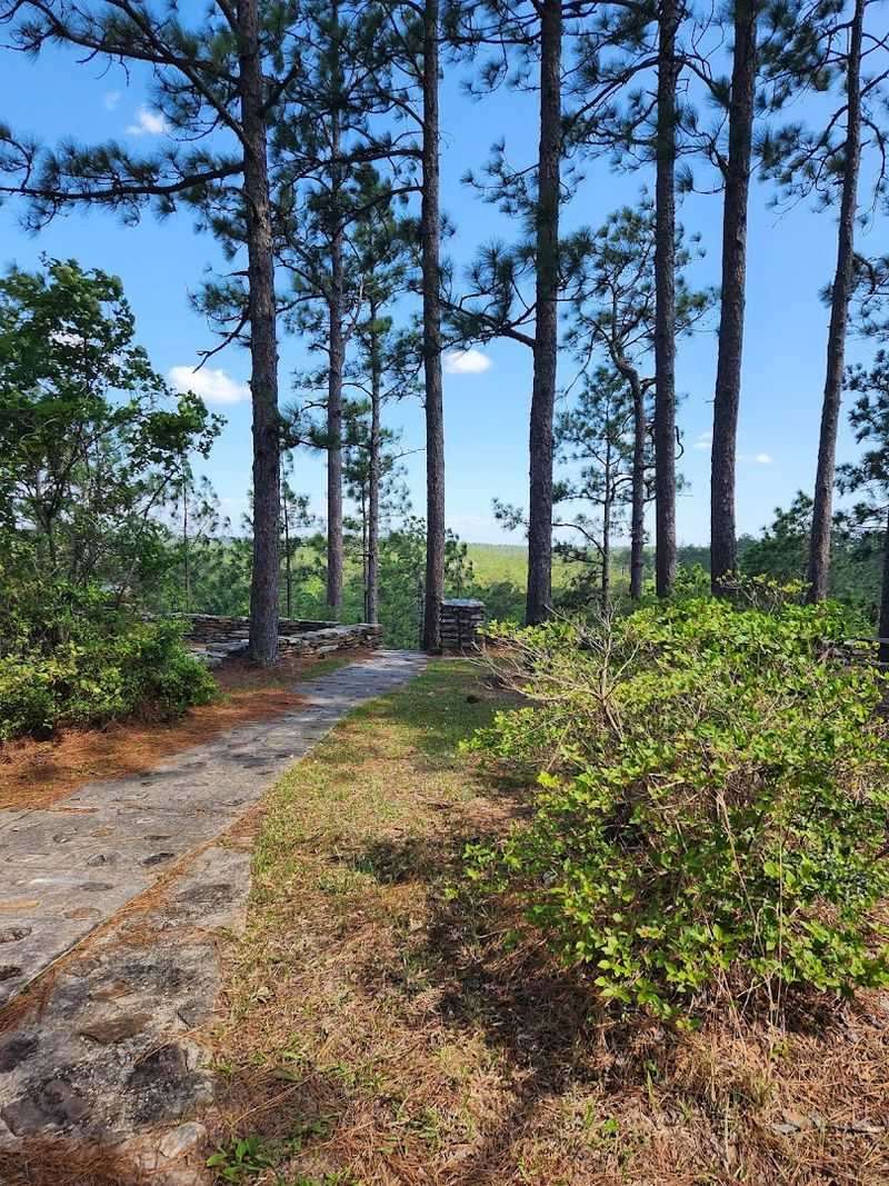 Longleaf Vista Interpretive Trail