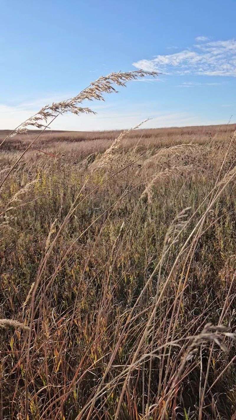 Why This Preserve Matters For The Future