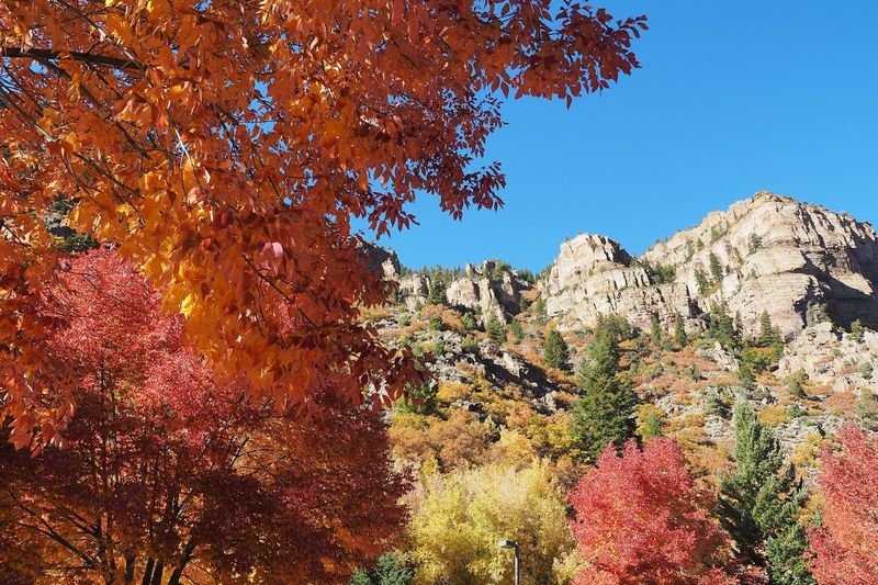Best Time To Visit And What To Expect By Season