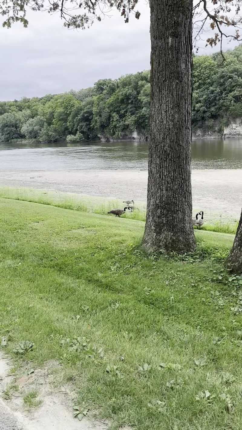 The Cedar River Beach Area and Water Access