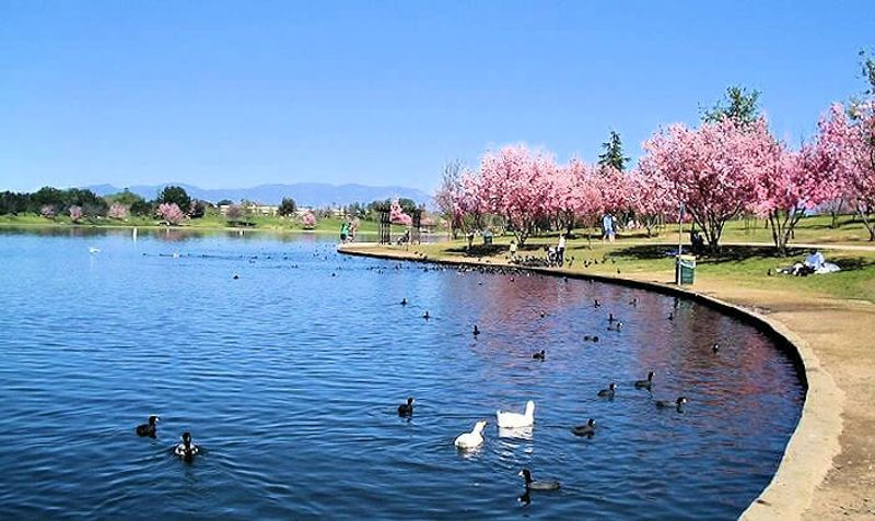 Planning Your Perfect Visit