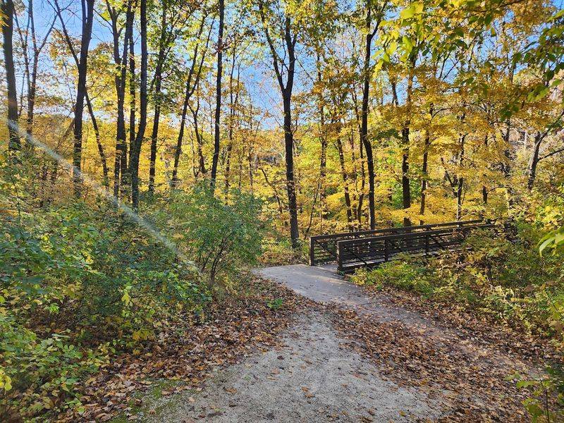 Fall Colors and the Best Time To Visit