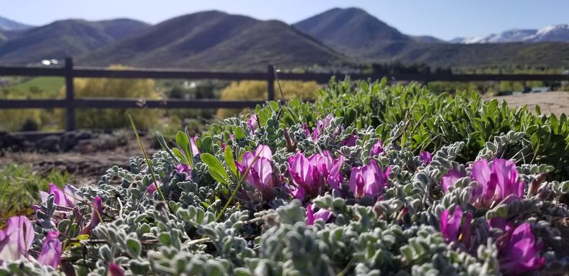 Summer Opens Up A Completely Different Playbook