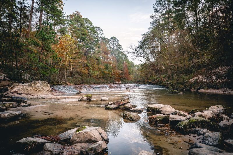 Kisatchie Bayou Recreation Area