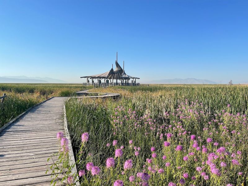Great Salt Lake Shorelands Preserve Boardwalk