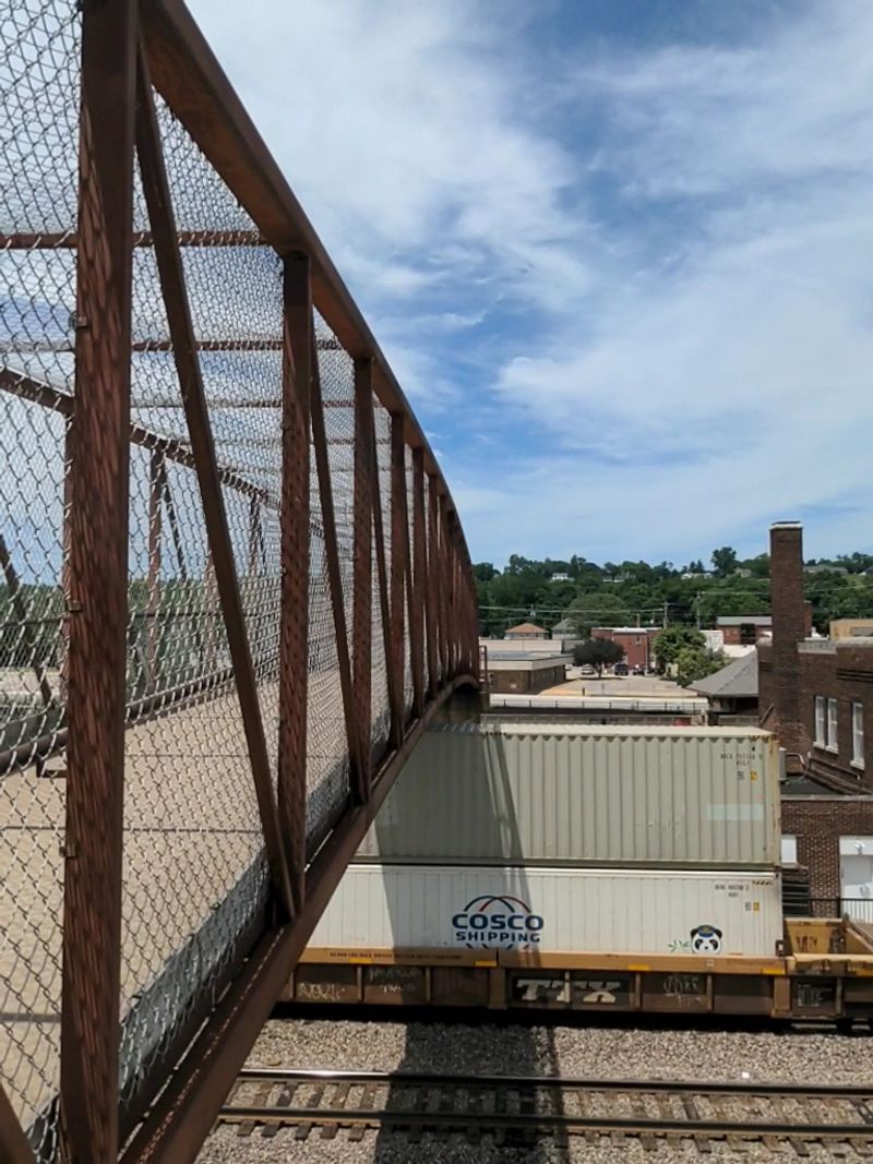The Skywalk Bridge View That Railfans Dream About