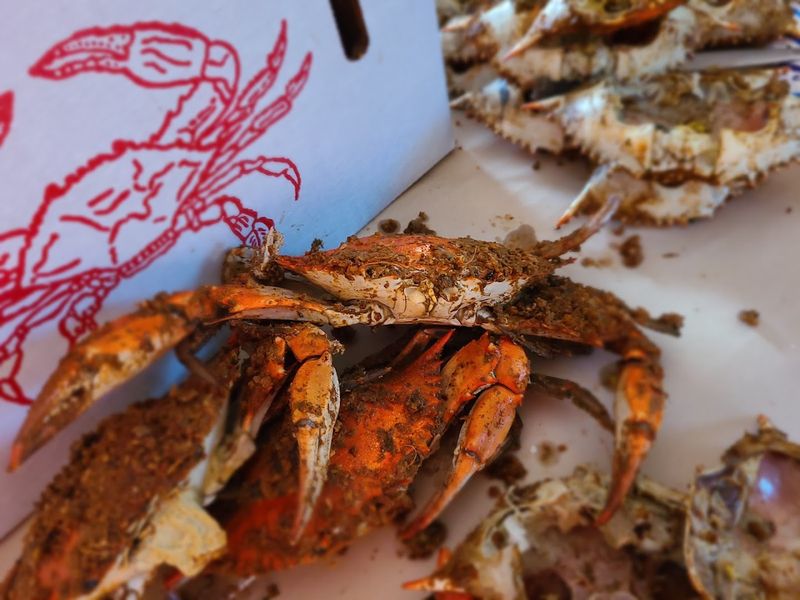 Maryland Steamed Blue Crabs