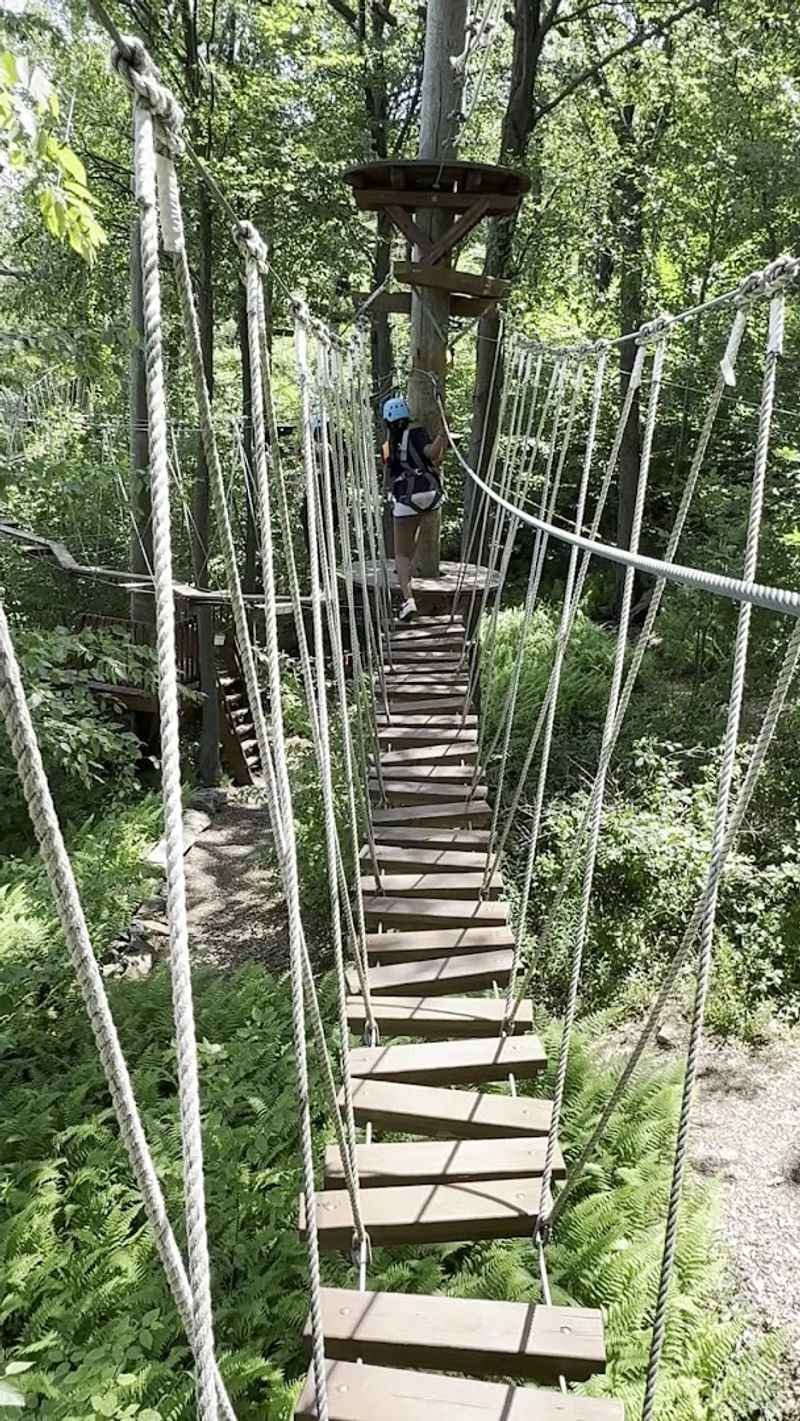 The Sunshine Course Lets More Climbers Join The Plot