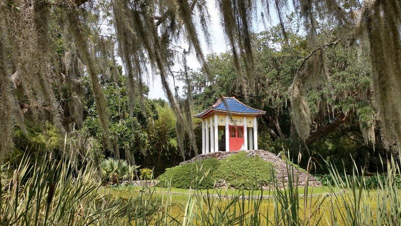 Savoring The Subtropical Vibe