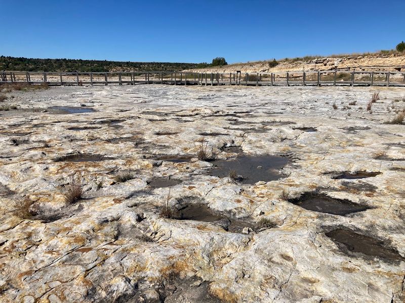 Ancient Footprints Cover The Rocky Spillway