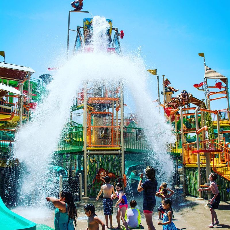 Splashy Paths And Sunlit Water Play