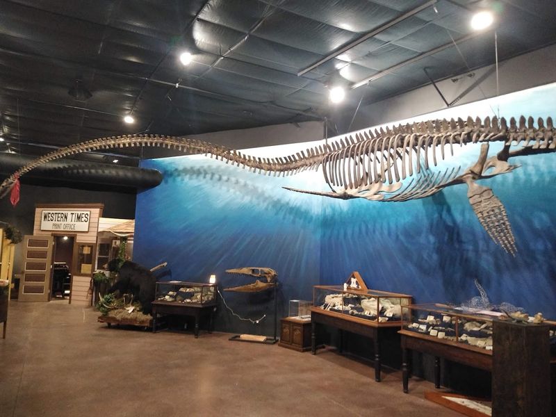 Surprisingly Large Inside: The Museum That Keeps Going