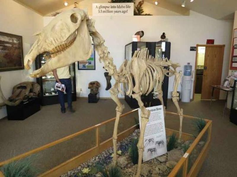 Meet Idaho's Famous Hagerman Horse