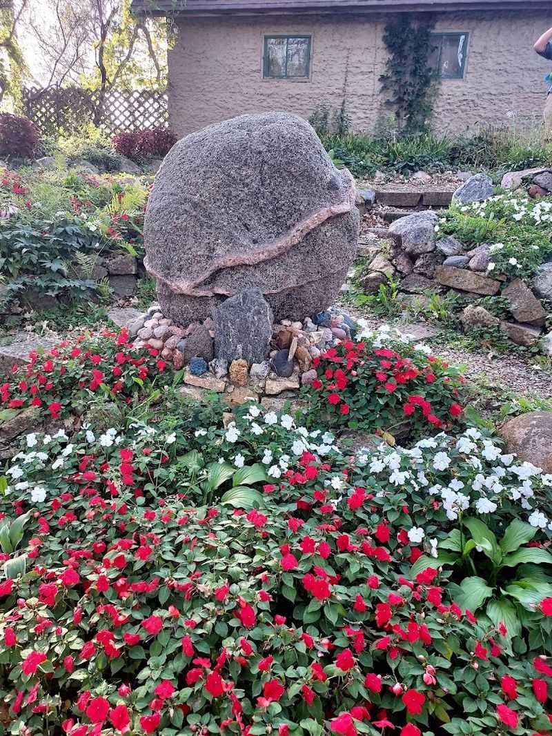 Flowers, Plants, And Living Details