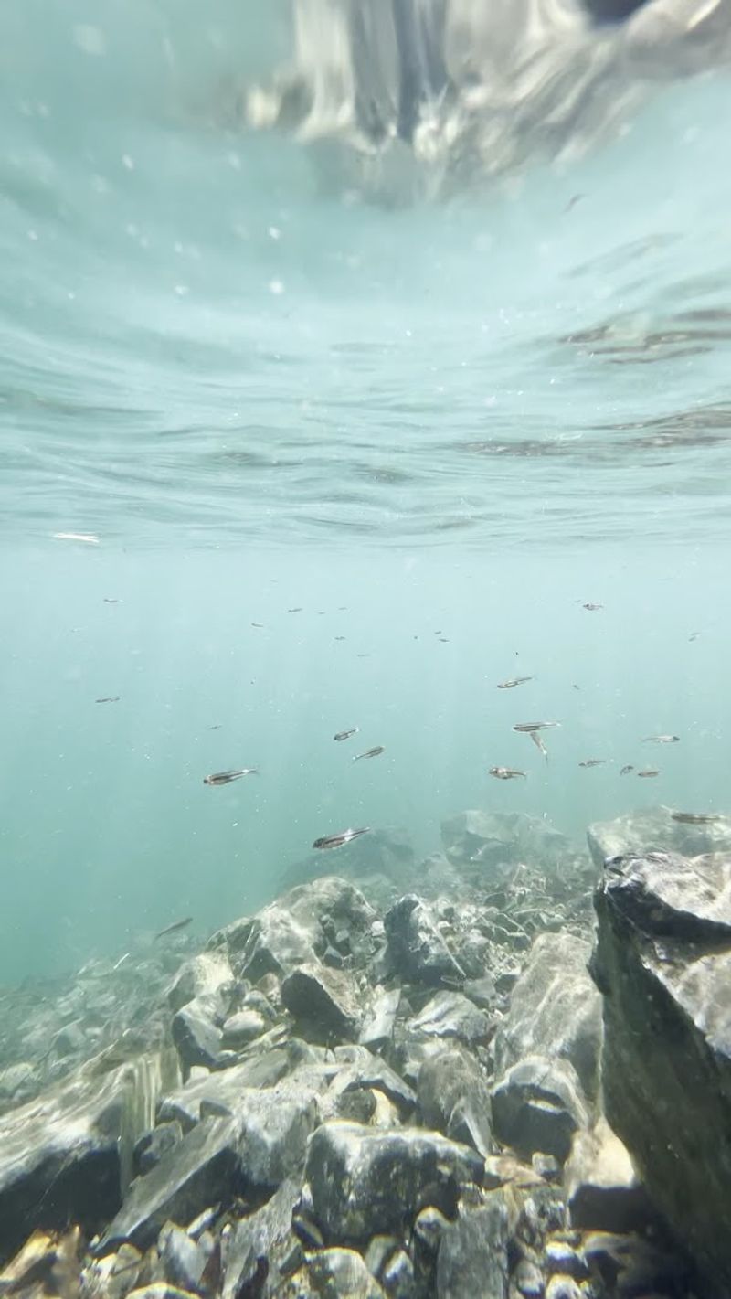 Fishing That Really Keeps The Day Calm