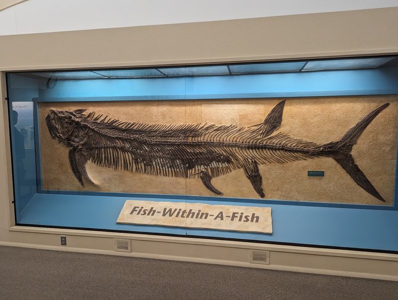 The Fish-Within-A-Fish Fossil That Stunned The World