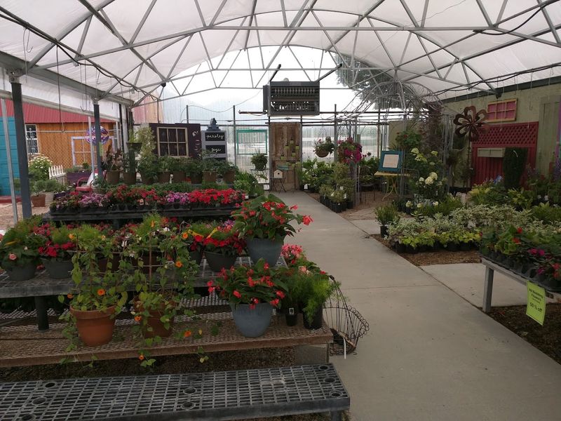 The Plant Selection That Makes You Want Everything