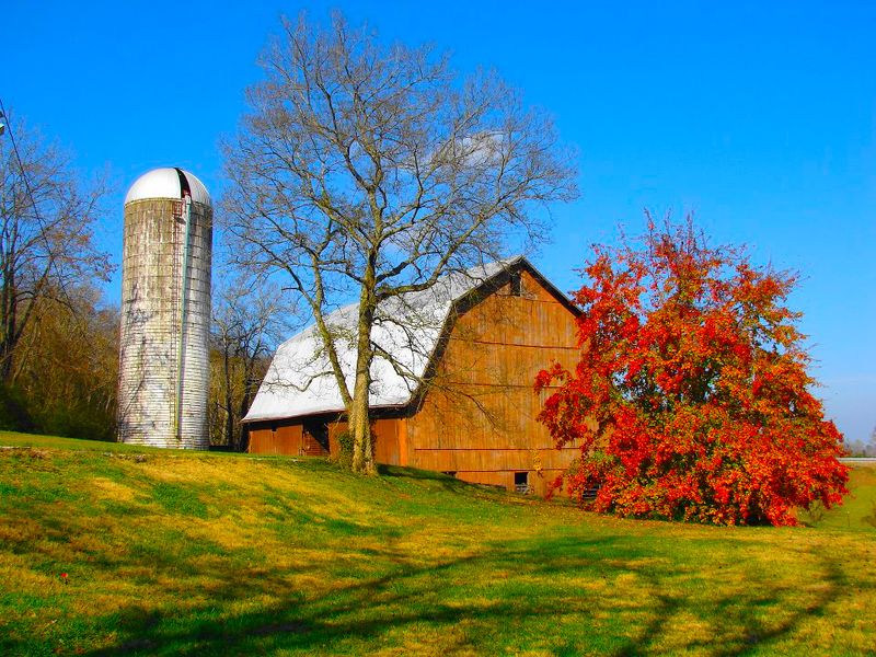 Tennessee Gives Retirement Income Room To Breathe