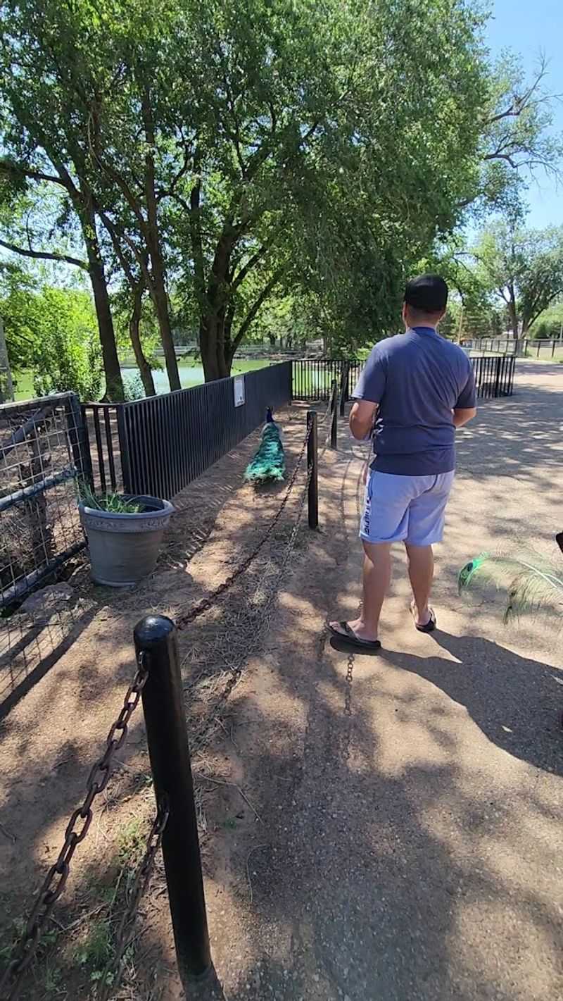Shaded Paths Between Animal Habitats