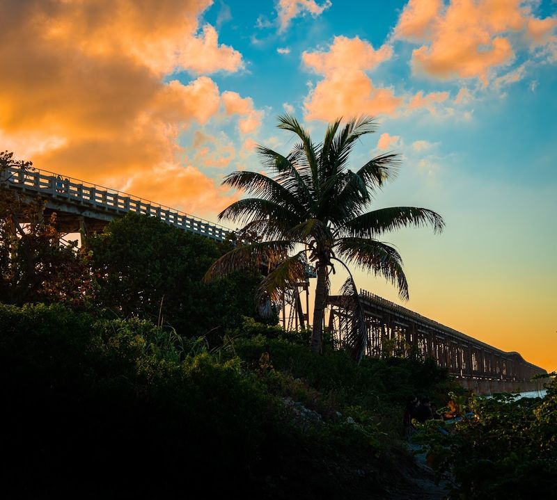 The Bridge Trail Raises The View Above The Palms