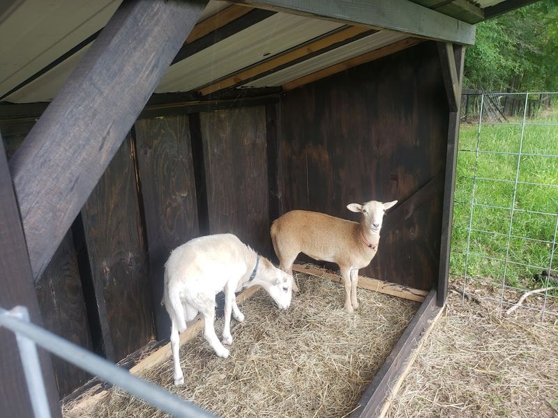 Booking Your Farm Escape