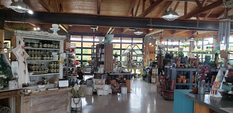 The Boutique Area Full Of Hidden Finds