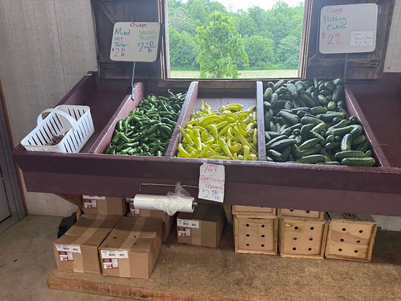 Hot Peppers For The Seriously Brave