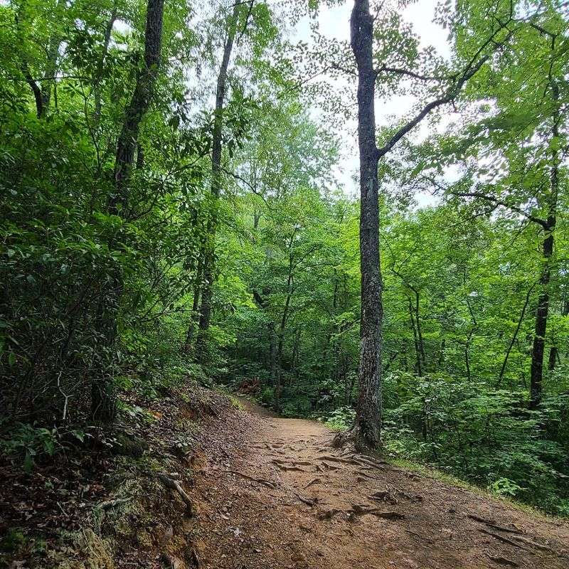 Where The Trailhead Picks Up The Story