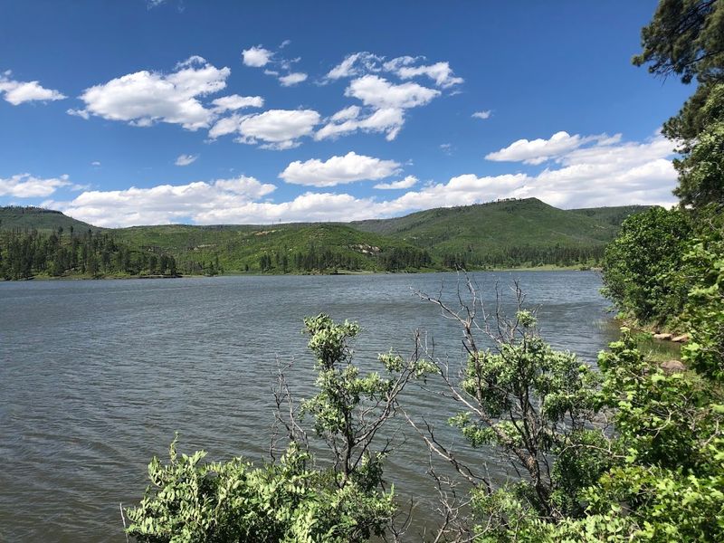 Peaceful Parks Offer Room To Breathe