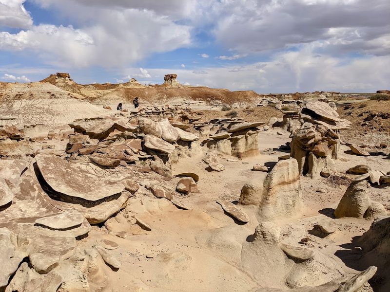 Bisti/De-Na-Zin Wilderness