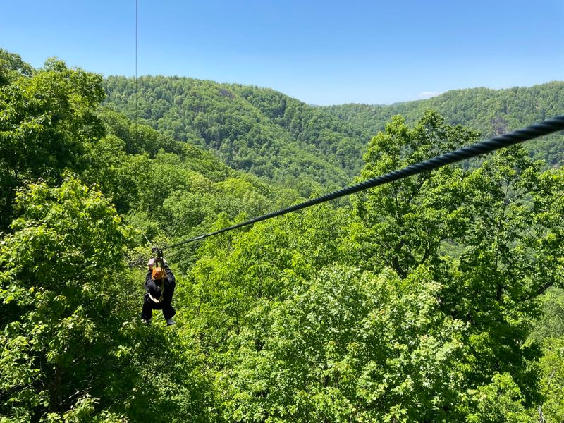 The Gorge Zipline