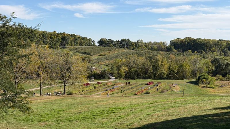 Tractor Rides That Go The Distance
